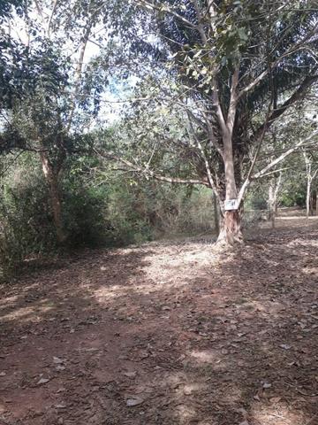 Chácara no Barranco Alto 12.500m² - Foto 3