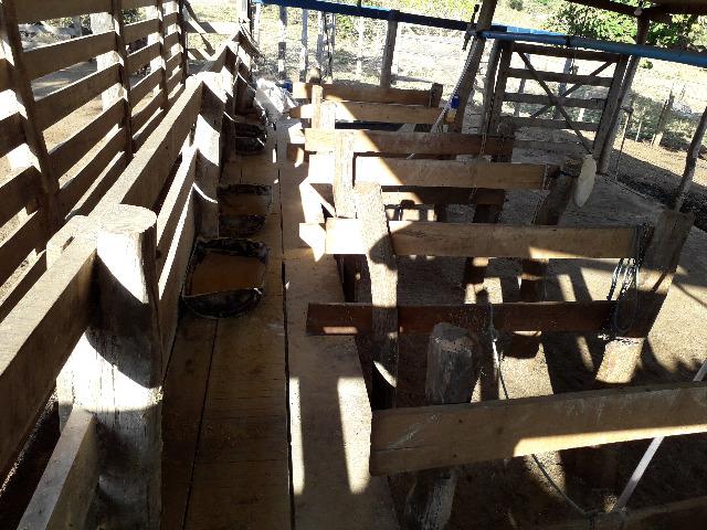Fazenda à venda, por R$ 900.000.00 - Zona Rural - Luziânia/GO - Foto 10