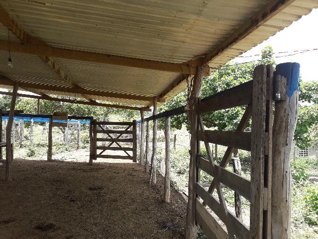 Fazenda à venda, por R$ 900.000.00 - Zona Rural - Luziânia/GO - Foto 17