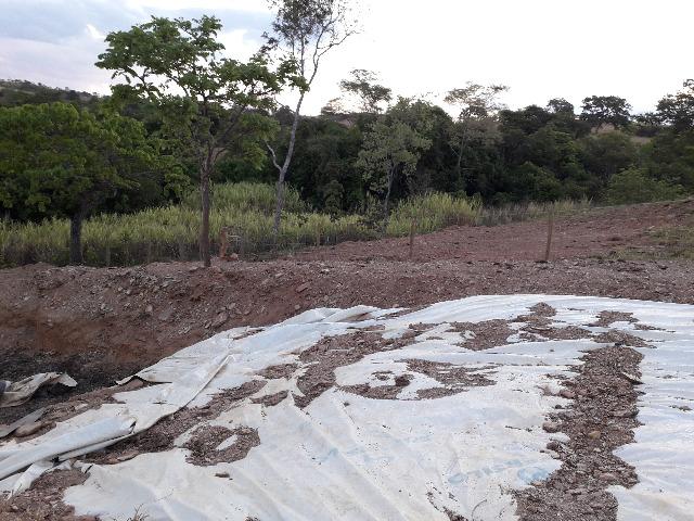 Fazenda à venda, por R$ 900.000.00 - Zona Rural - Luziânia/GO - Foto 7