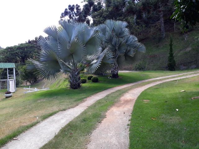 Marechal Floriano - sitio a 6 km da cidada - Foto 19
