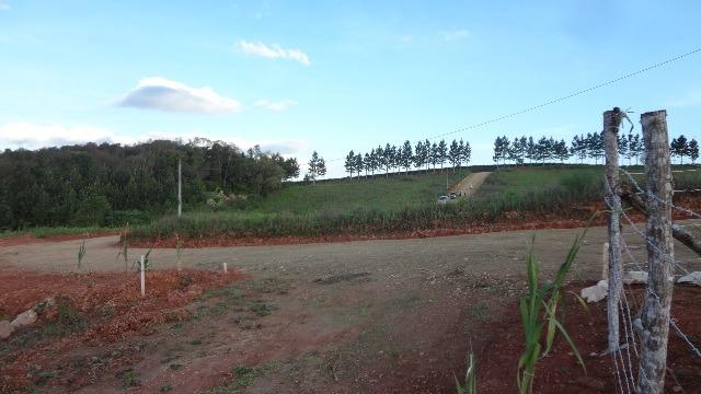 Ref. 2385 - Chácara de 5.854,14 m² com tanque e Luz - Contenda - Foto 13