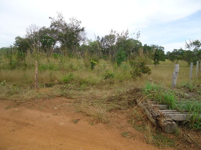 Fazenda em Monte do Carmo-To, 190ha - Foto 10