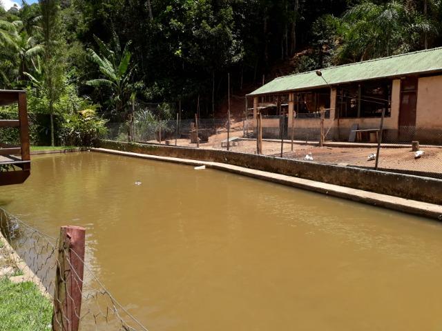 Marechal Floriano - sitio a 6 km da cidada - Foto 20
