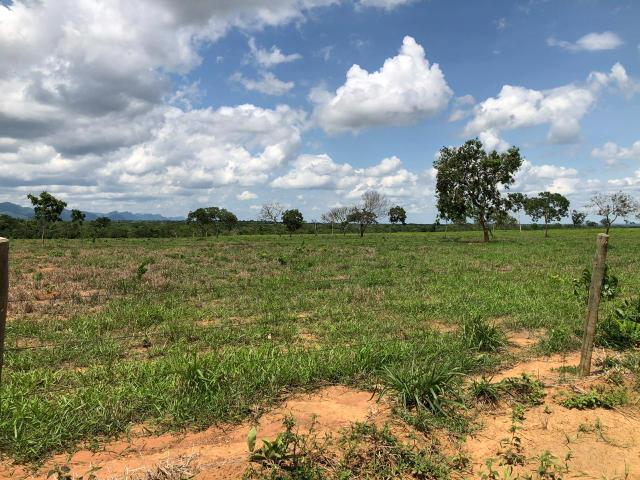 Fazenda 1.163 hectares em Livramento MT - Foto 8