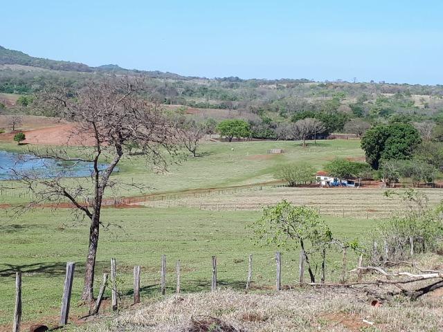 Fazenda em Campo Grande 4mil hectares!! - Foto 20