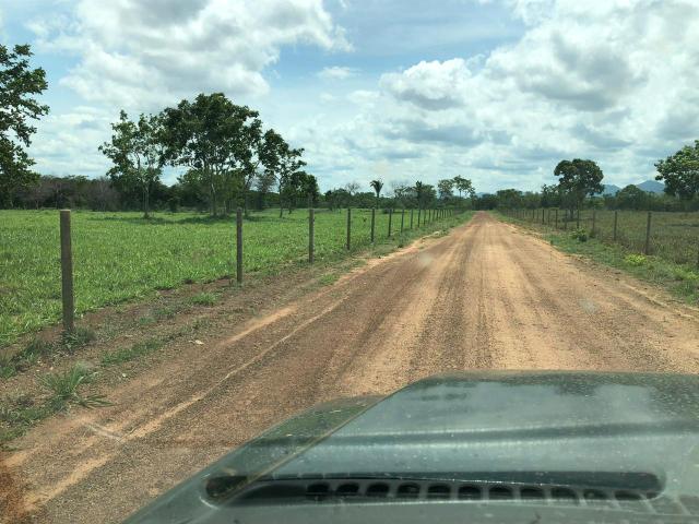 Fazenda 1.163 hectares em Livramento MT - Foto 9