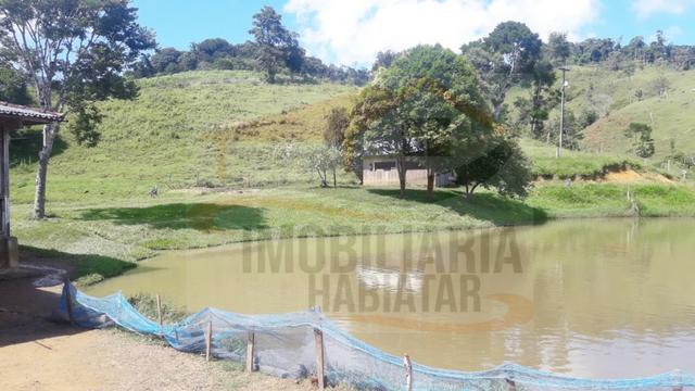 Fazenda de 100 alqueires paulistas, Campina Grande do Sul / PR - Foto 10