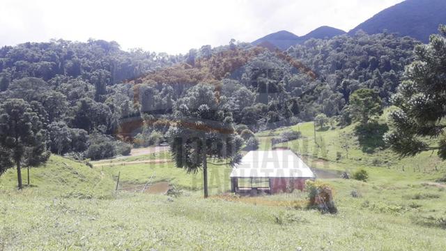 Fazenda de 100 alqueires paulistas, Campina Grande do Sul / PR - Foto 15