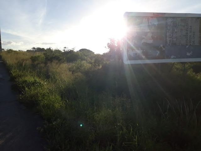 Ótima área com 4.4 hectares, em Caruaru-PE. Vende-se completa ou em partes.Aceita trocas! - Foto 10