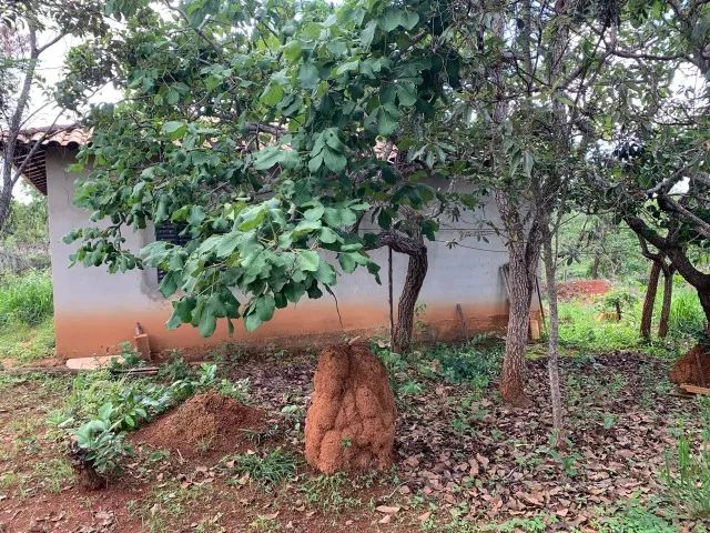 Chácara 1.000m², casa simples, com agua e luz, Jaboticatubas. - Foto 4