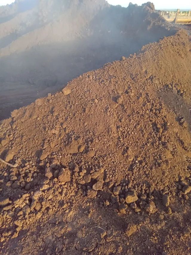 Esterco de Gado Confinado [Curtido] - Foto 3