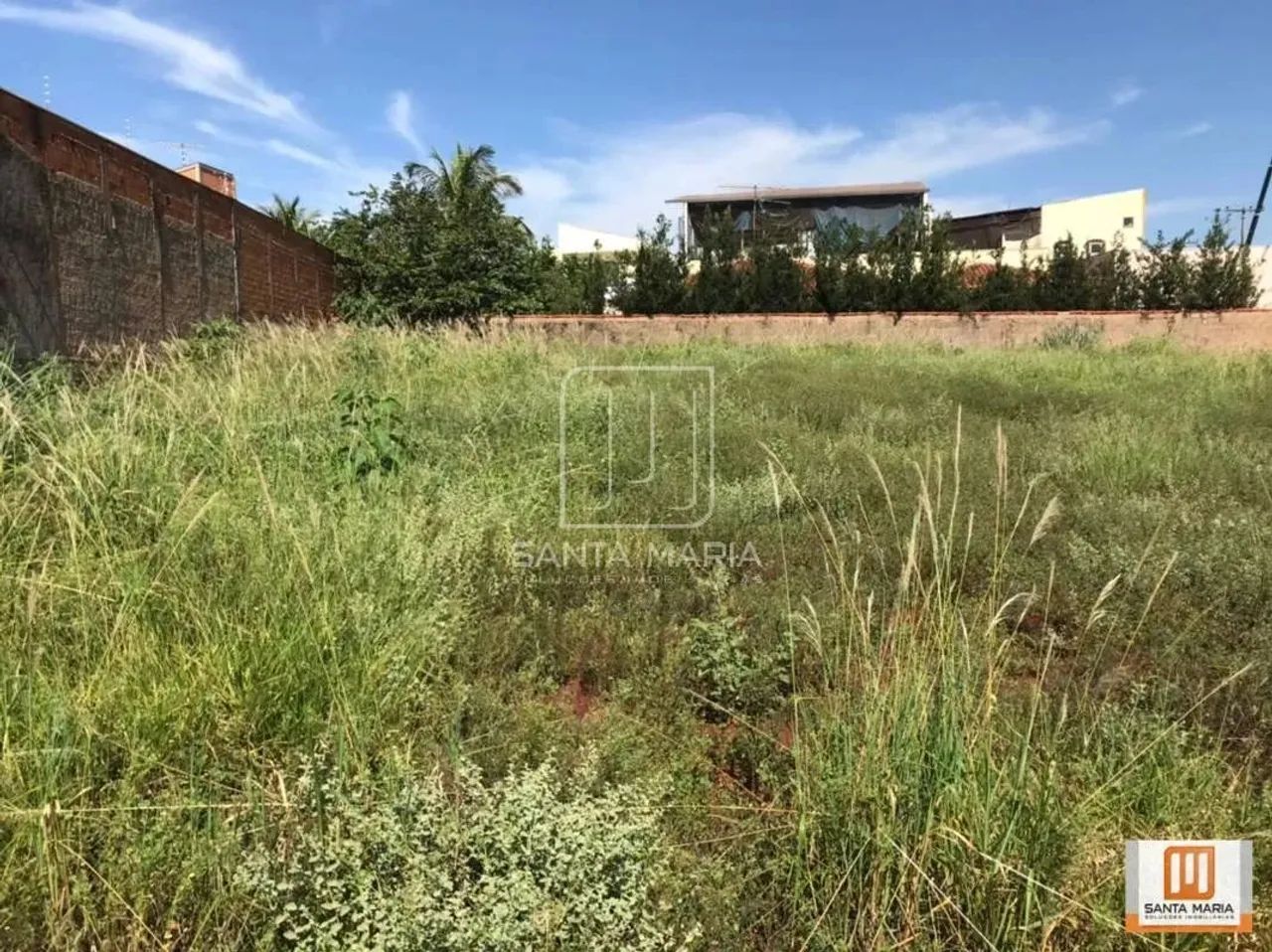 Terreno (terreno normal) - Foto 4