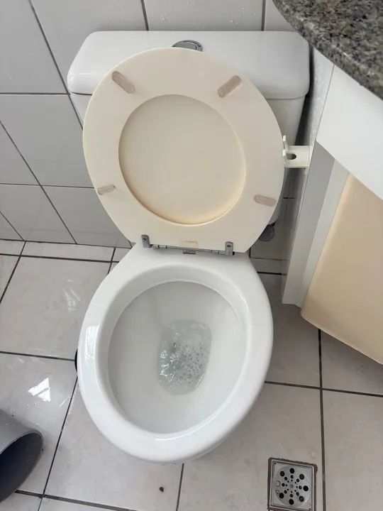 Vaso Sanitário INCEPA perfeito estado