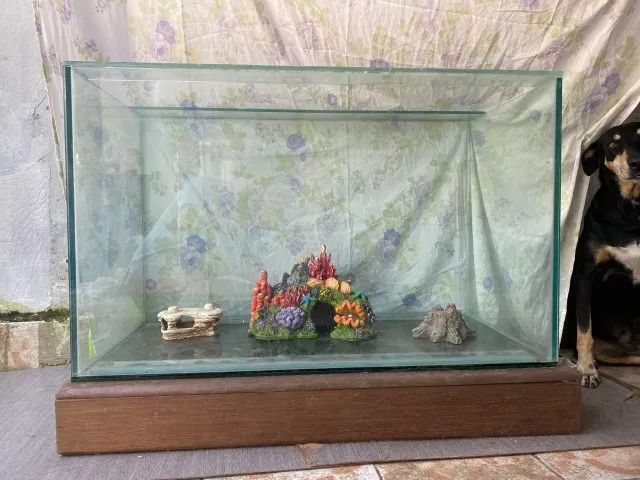 Enfeites para aquários  - Foto 2