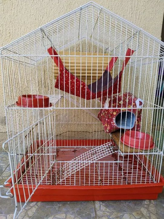 Gaiola para Roedores Grande com Acessórios - Foto 2