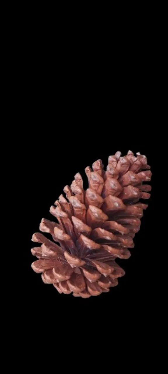 Pinha várias unidades  - Foto 3