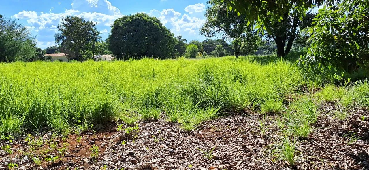 Chácara maravilhosa no Rajadinha-DF. PERTINHO DO ASFALTO . - Foto 8
