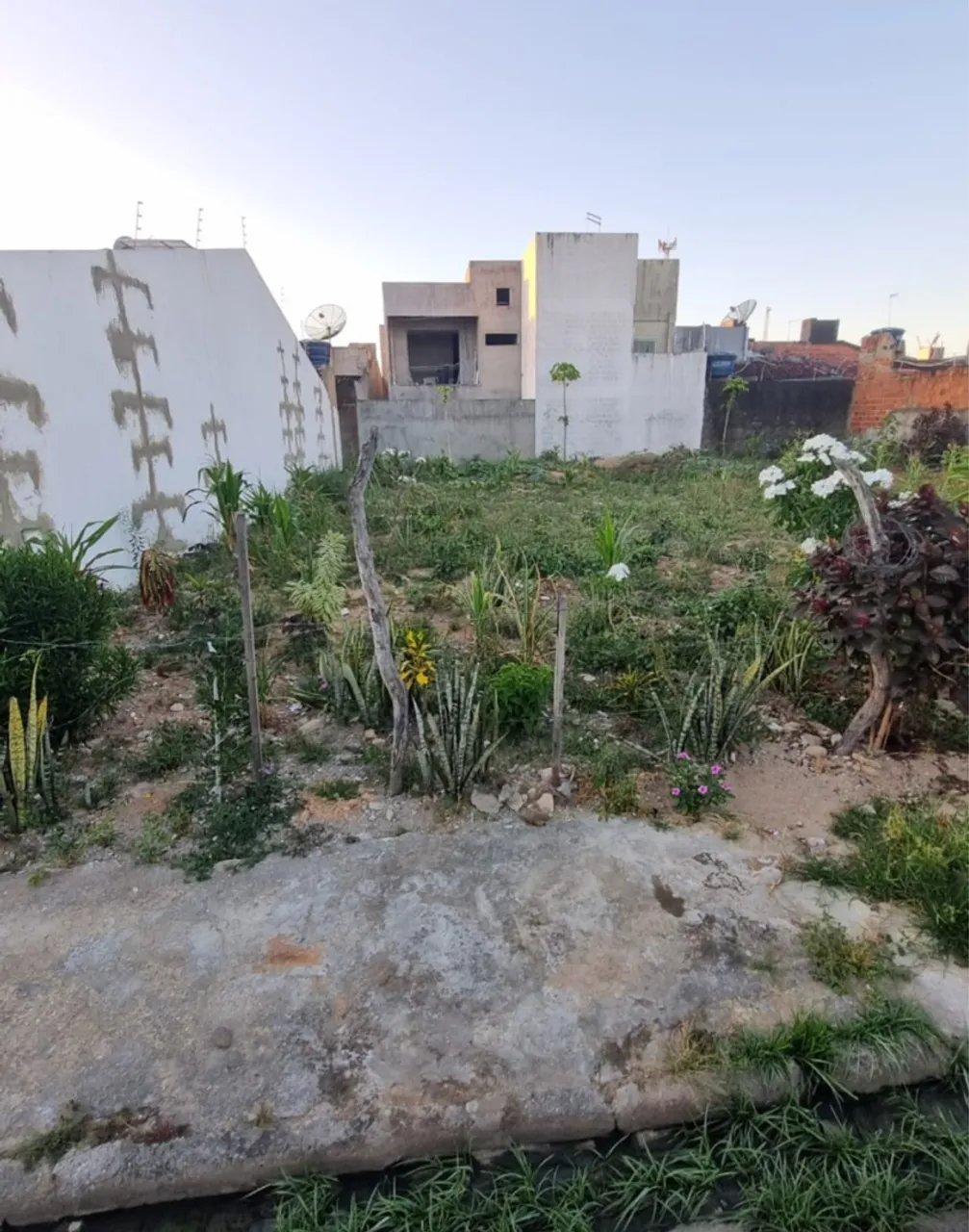 Terreno em Lagarto 7x26 escriturado