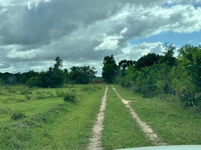 Vendo lindo sitio na praia de Cumuruxatiba ! - Foto 15