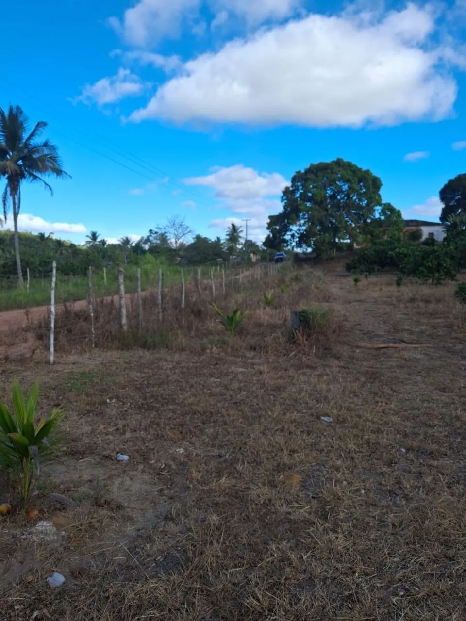 Sítio em Salgado - Sergipe - Foto 5