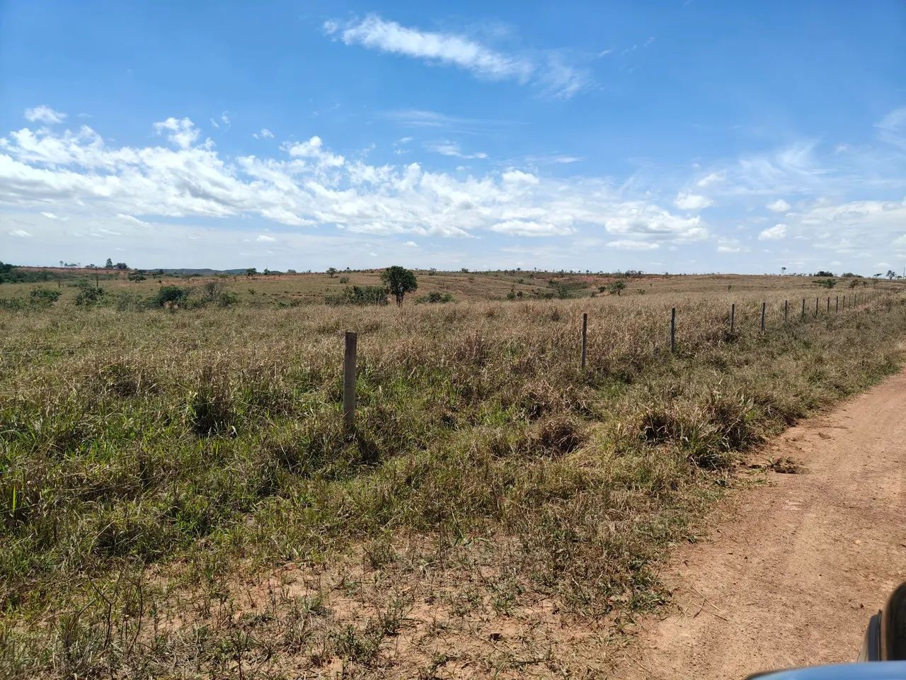 FAZENDA COM 100HECTARES PLANA, ÓTIMO PREÇO!! - Foto 3
