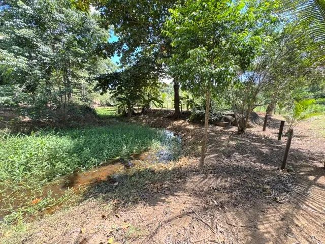 CHÀCARA SEM CASA PAU PRETO ARACRUZ - Foto 4