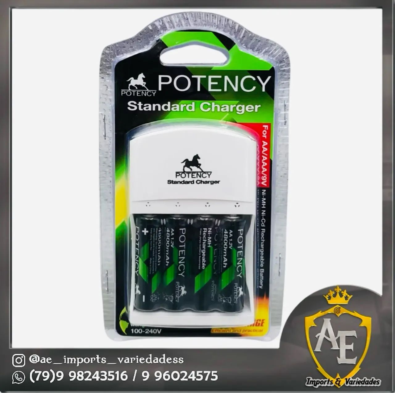 Kit carregador + pilhas recarregáveis 