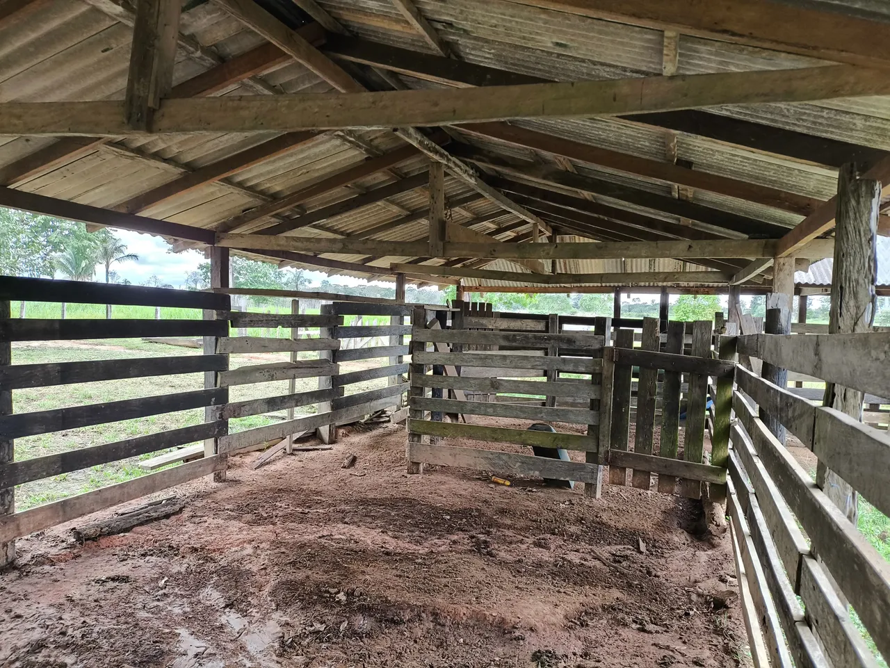 Vendo Sítio de 81 hectares Com Título e Escritura, BR 319, KM 13, Linha Tranpurus.