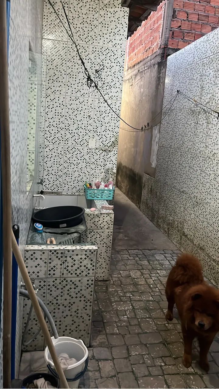 Foto - São Luís - Cidade Operária