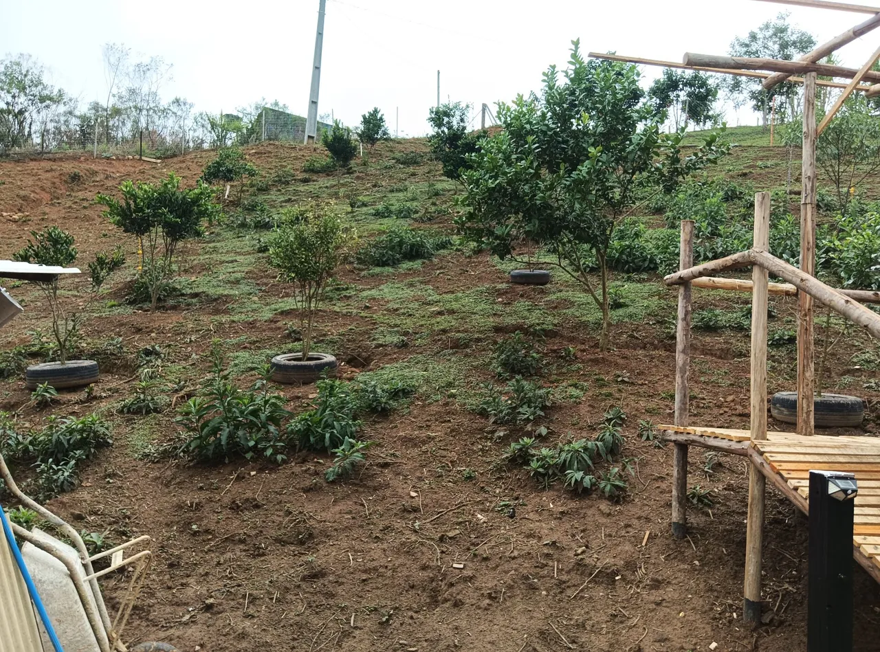 Chácara bem localizado na areia branca dos asis