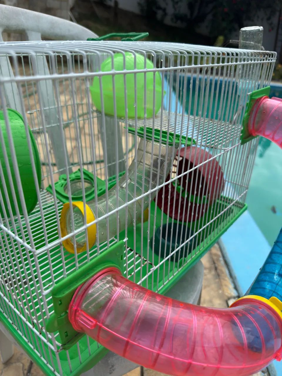 Gaiola para Hamster ou Porquinho da Índia - Foto 6