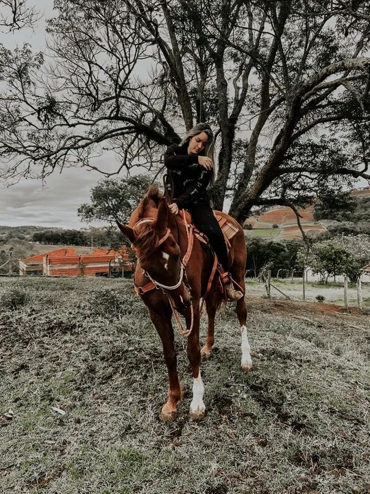 Sela quarto de milha  - Foto 2