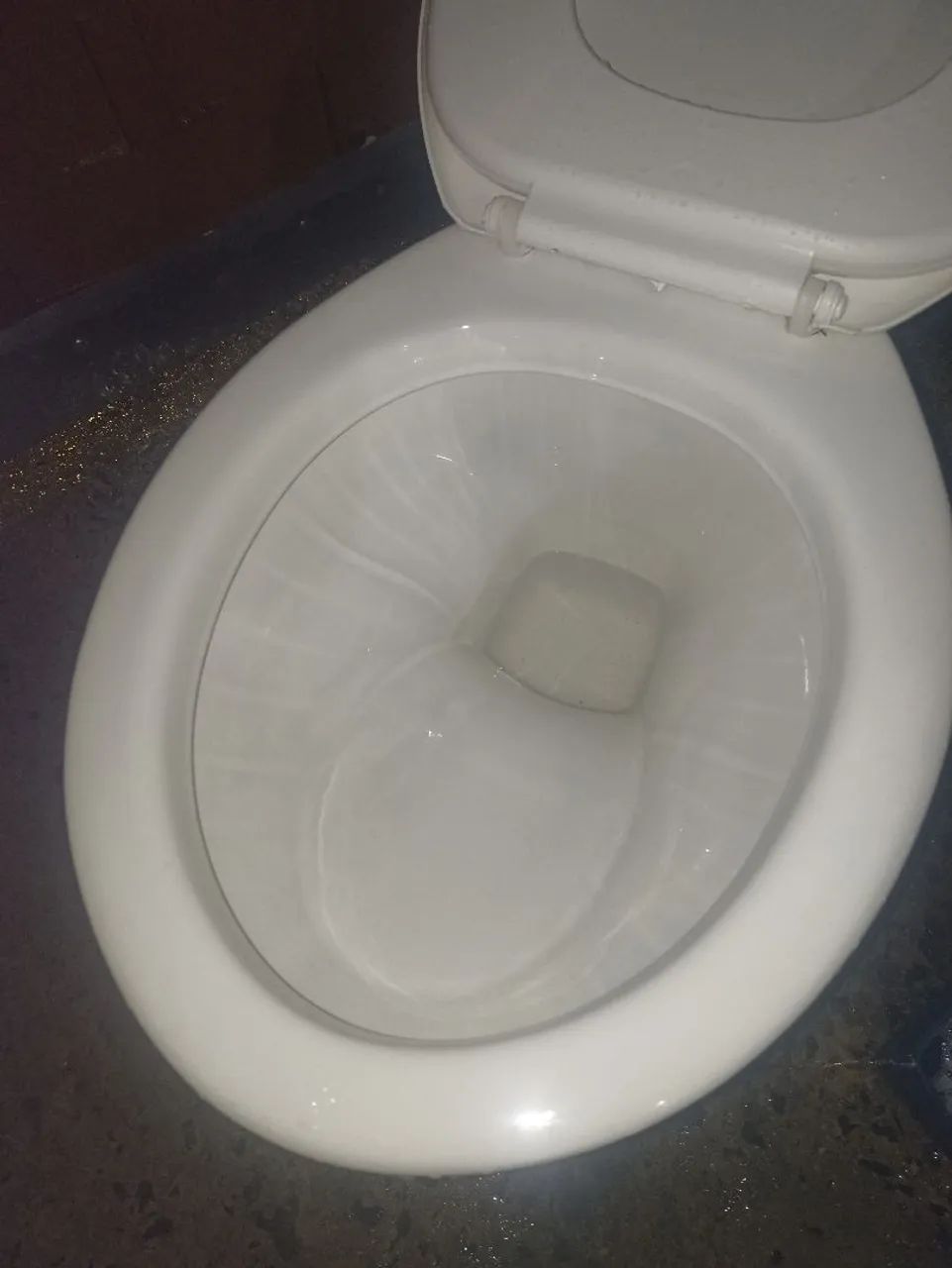 Incepa Toilet64628980036737123