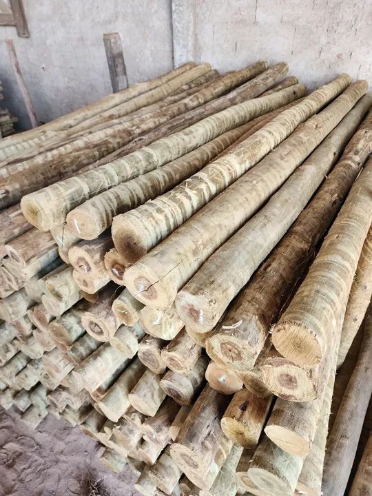 Treated Eucalyptus436600745765775362