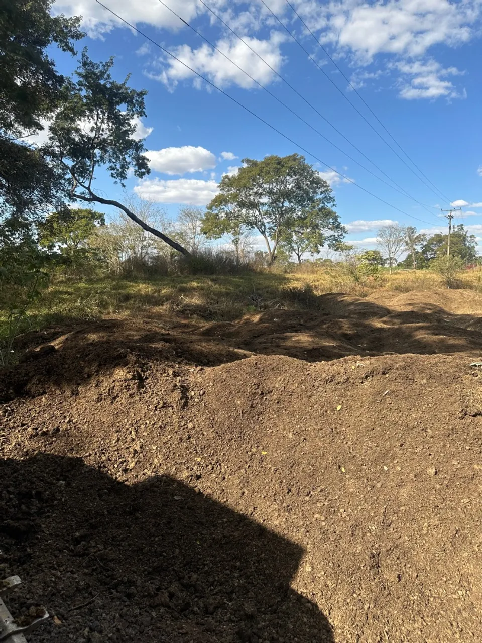 Esterco de gado curtido para adubagem de plantas