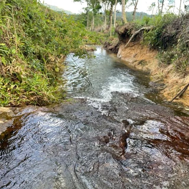 S�ÍTIO À VENDA - RIO DA LUZ / JARAGUÁ DO SUL - SC - Foto 2