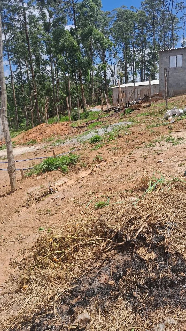 Foto - São Paulo - Colônia (Zona Leste)