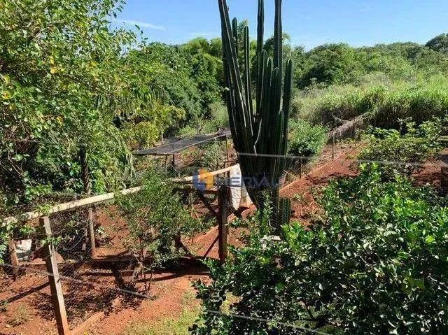 Chácara com 2 Quartos à venda, 1100 m² por R$ 1.011.000.00- Parque Tarumã - Maringá/PR - Foto 14