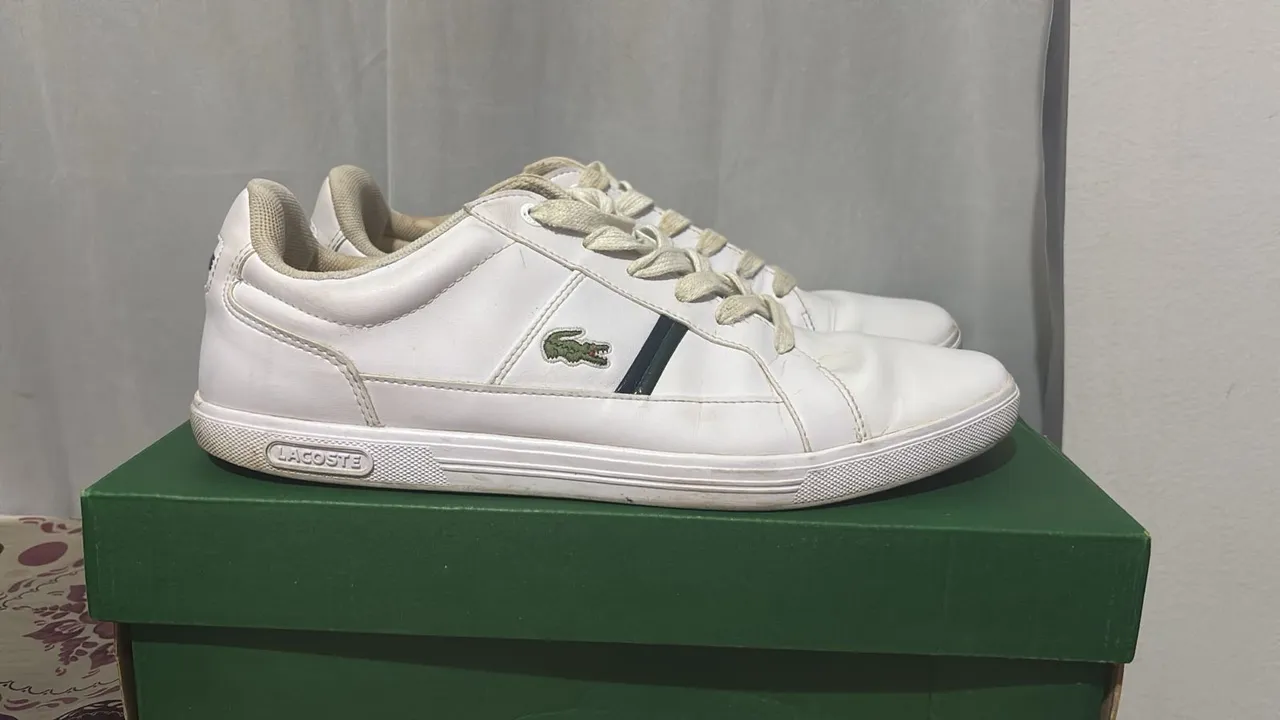 Tênis Lacoste Branco - Original