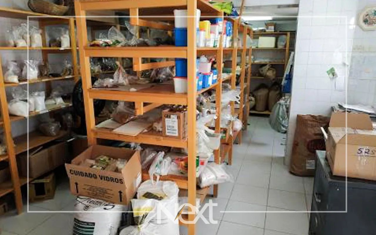 casa - Cambuí - Campinas - Foto 5