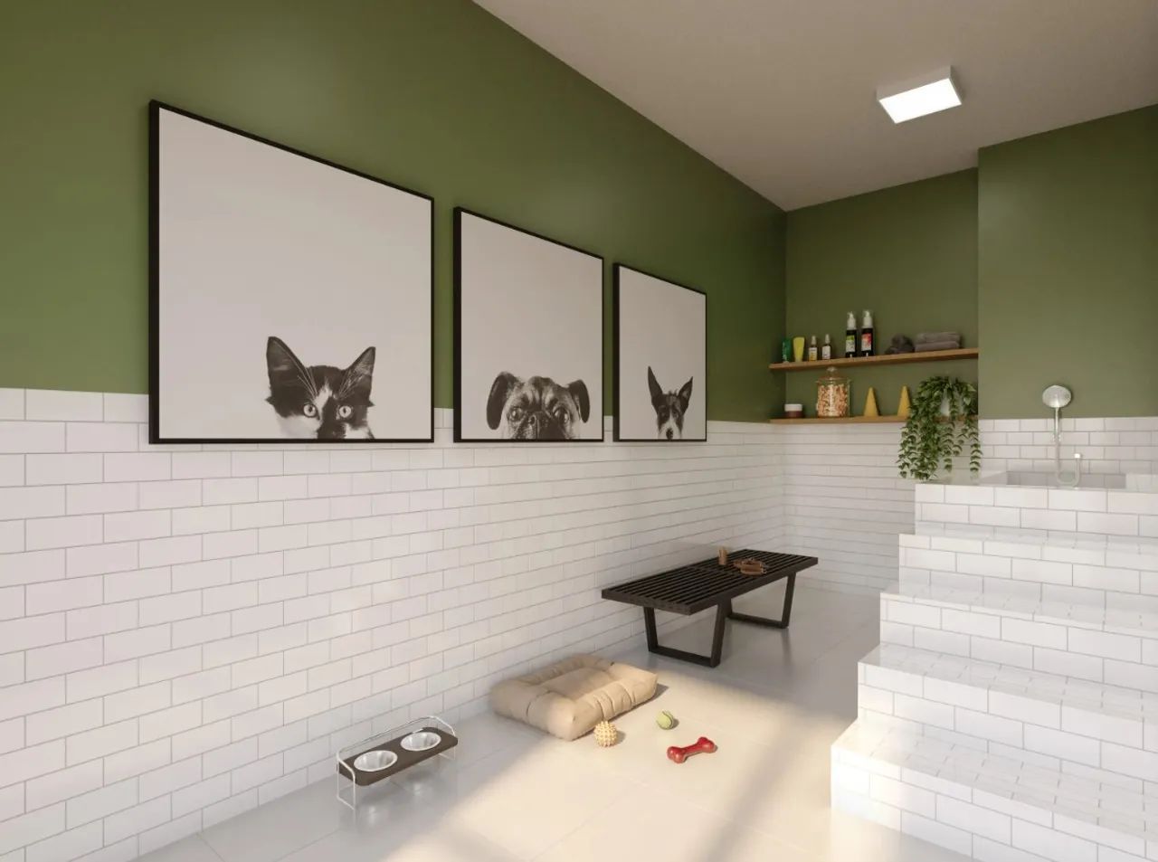 PLANO E BOSQUE DO CARMO - EUCALIPTO - Foto 6