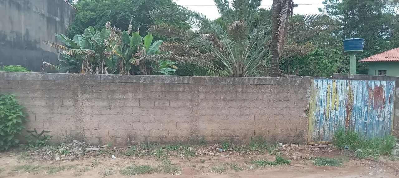 Foto - Votorantim - Fornazari