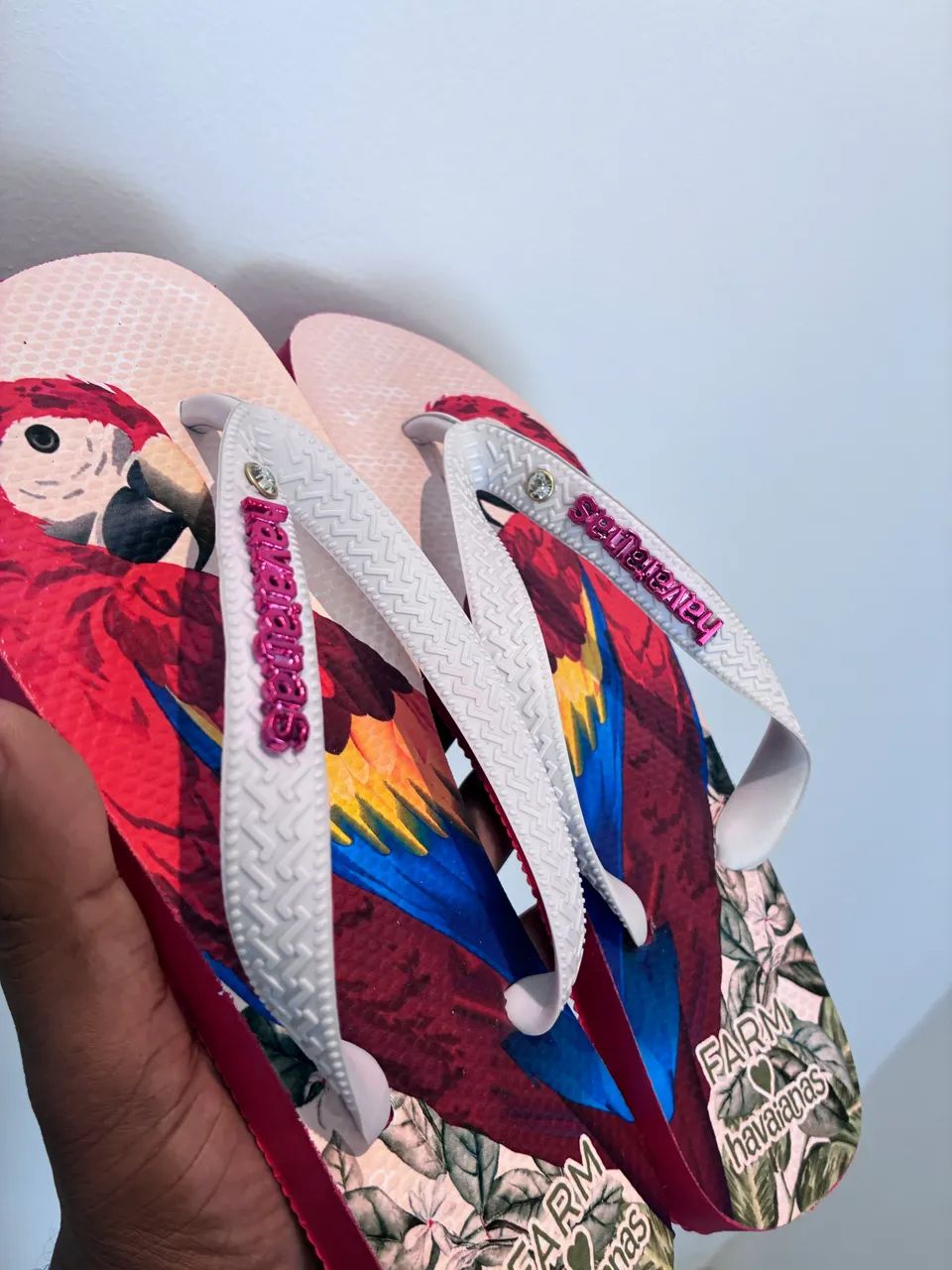 Chinelo Farm Arara