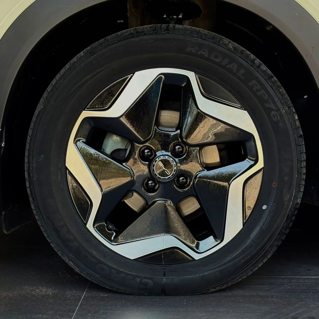 BYD Dolphin GS (Elétrico) 2024 - Foto 4