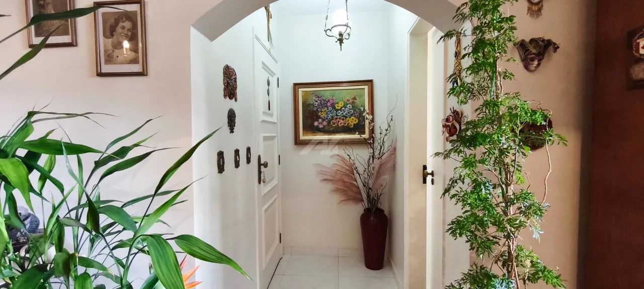 apartamento - Jardim Proença - Campinas - Foto 2