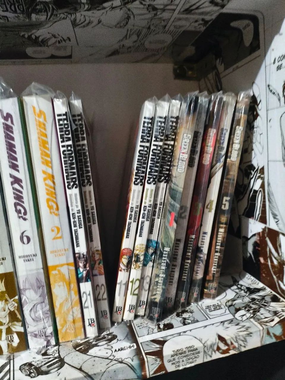 Coleção  - Foto 5