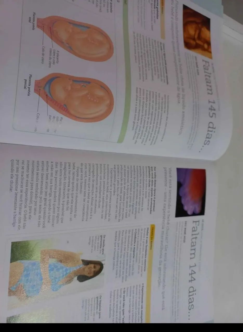 Livro A Gravidez Dia a Dia - Foto 5