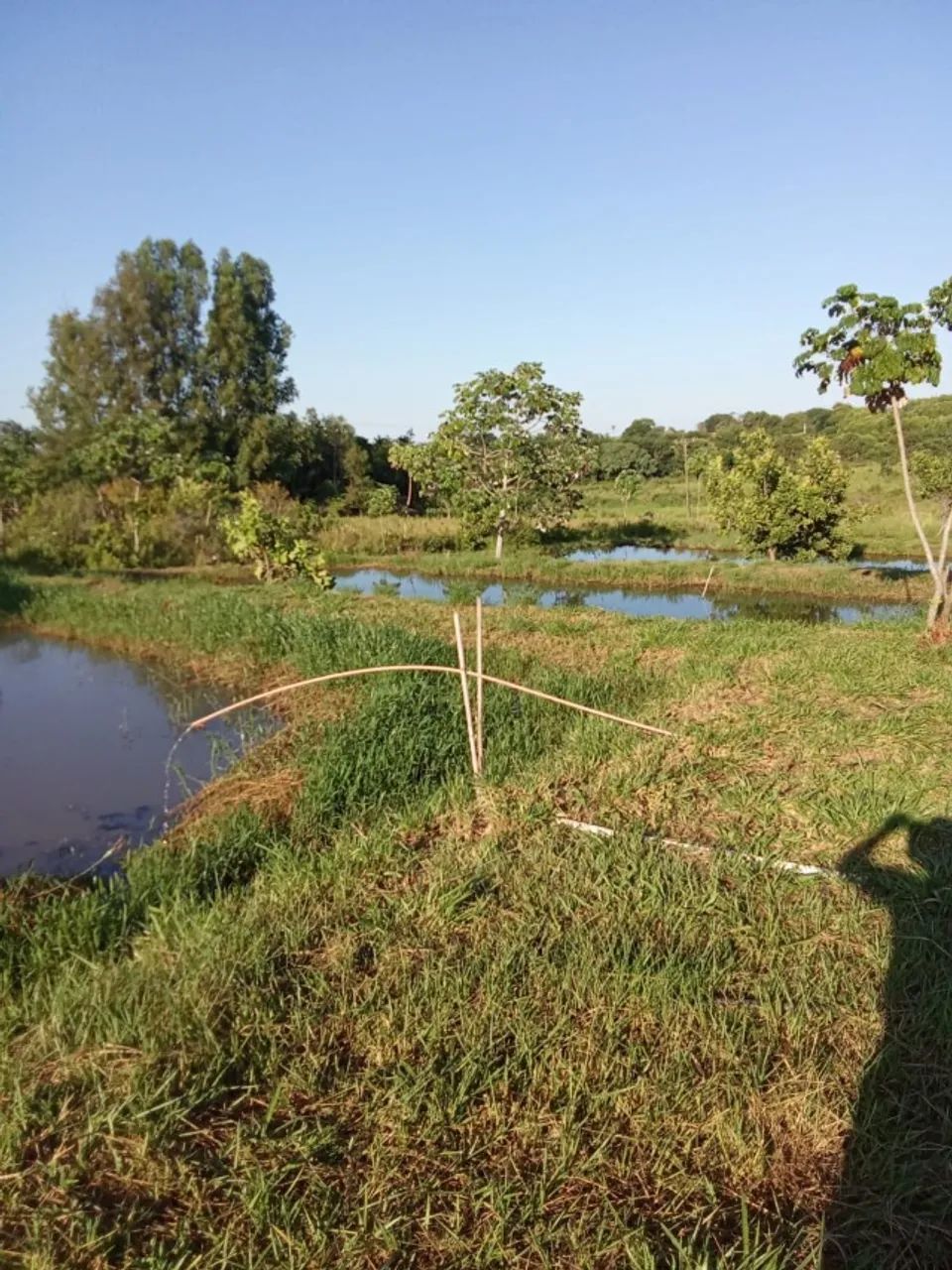  aluga chacara com 9 tanques pra criação de peixes - Foto 2