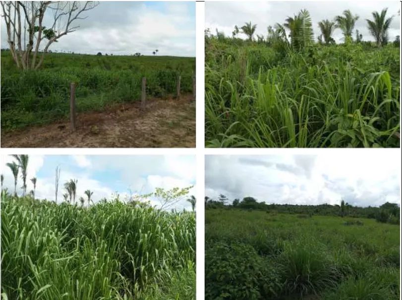 Fazenda Recanto da Lagoa Nova 21.728.700m² - Foto 5